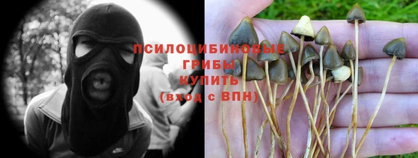 МДПВ Абаза
