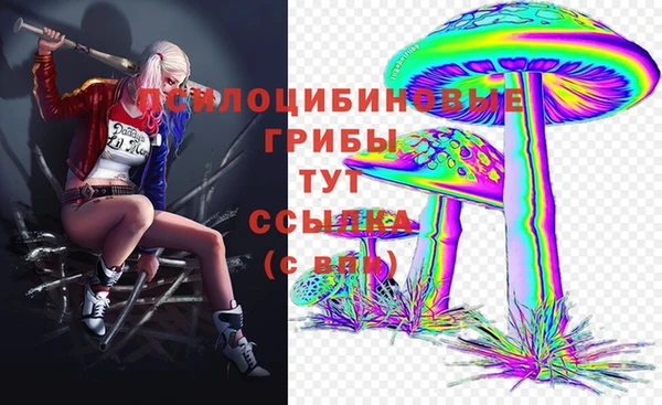 твердый Абинск
